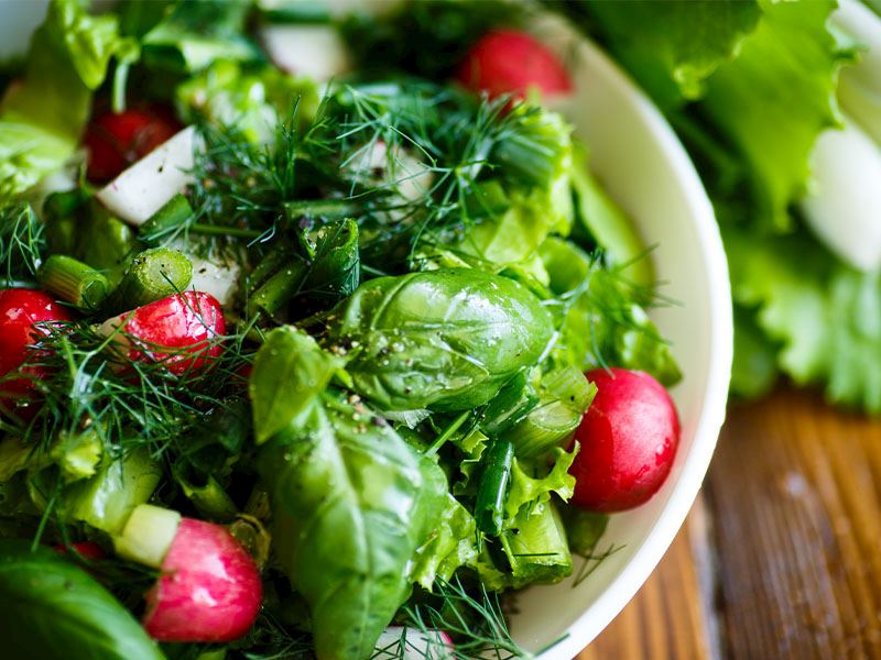 Salatanın Diri Kalması İçin Ne Yapmalı?