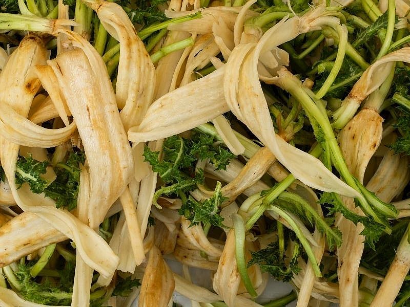 Şevketi Bostan Yemeği Etli Mi Olur, Zeytinyağlı Mı?