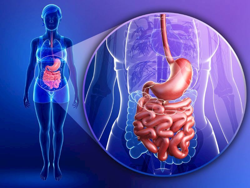 Sindirim Sistemi Hastalıkları Nelerdir?