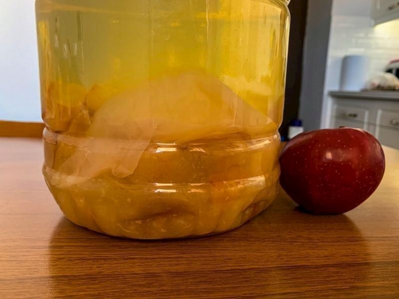 Sirkede Sirke Anası Oluşmazsa Ne Olur?