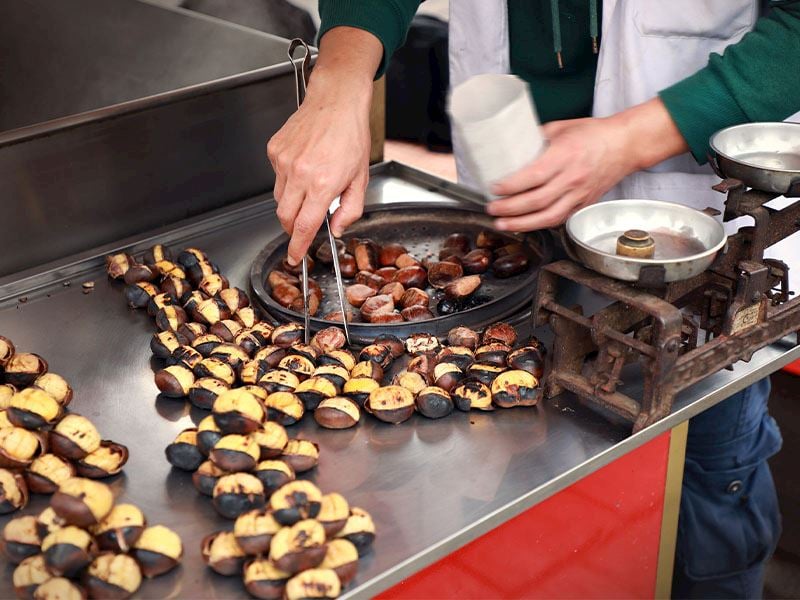 Sokak Kestanesinin Güzel Kokmasının Nedeni Bakın Neymiş!