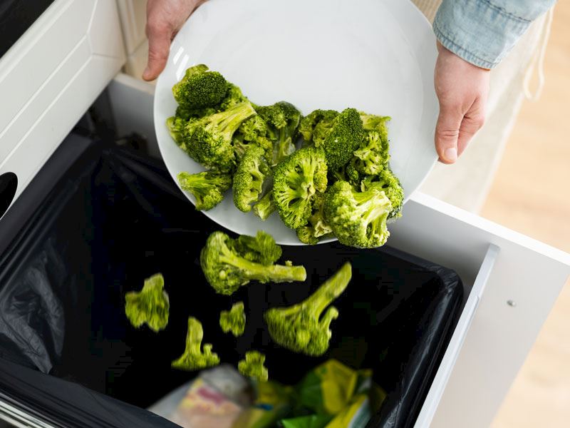 Süresi Dolmuş Yiyecekleri Atmayı Neden Durdurmalısınız?