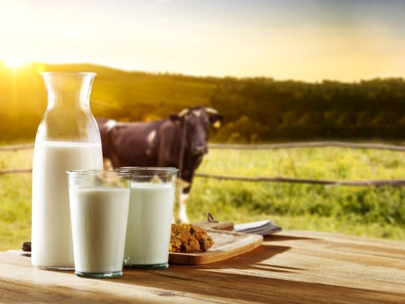 Sütün Hiç Bilmediğiniz 13 Farklı Kullanım Alanı