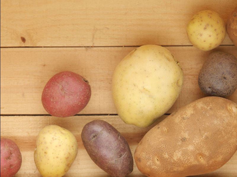 Tatlı Patates ile Patates Arasındaki Fark Nedir?