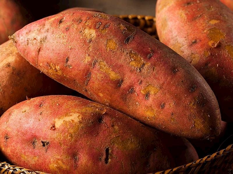 Tatlı Patates Közlenir Mi?