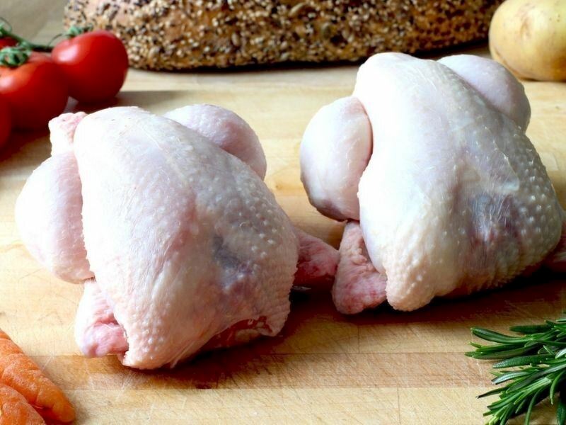 Tavuk Zehirlenmesi Nedir, Belirtileri Nelerdir?
