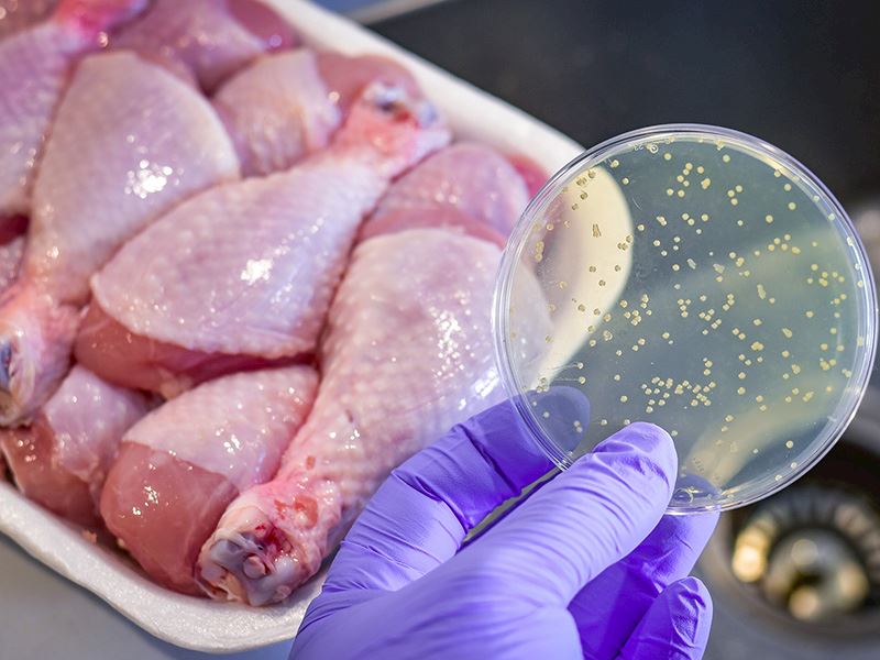 Tavuktan Zehirlenmemek İçin 10 İpucu