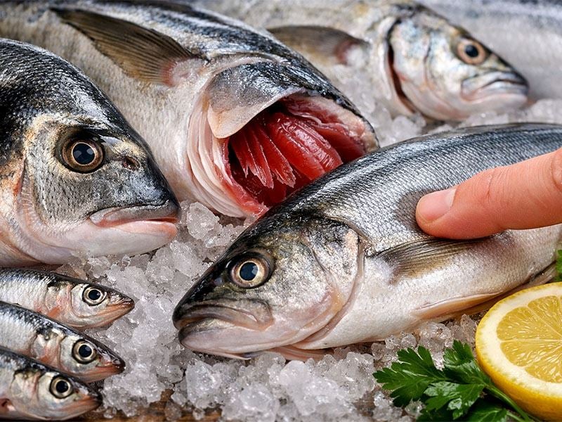 Taze Balık Seçerken Balıkçıların İlk Baktığı Yer Burasıymış