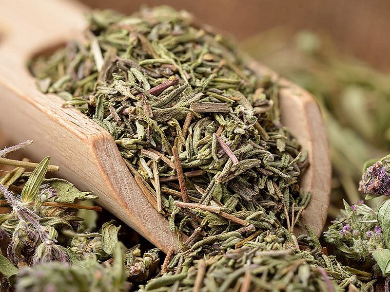 Taze Kekik Nasıl Saklanmalıdır?