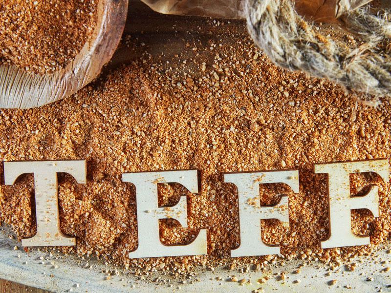 Teff Tohumu Nedir, Faydaları Nelerdir?