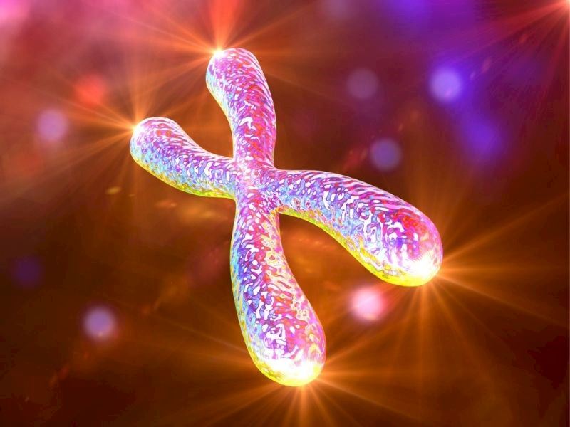 Telomeri Uzatan Besinler Nelerdir?