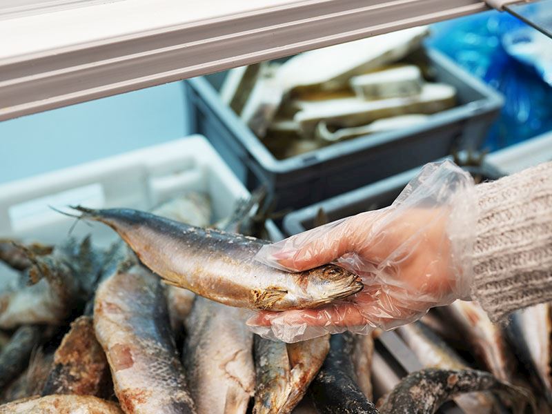 Temizlenmemiş Çiğ Balık Nasıl ve Nerede Saklanır?