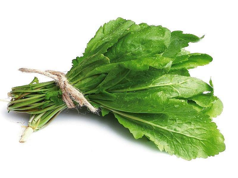 Tere En Çok Hangi Yemeklerin Yanına Yakışır?