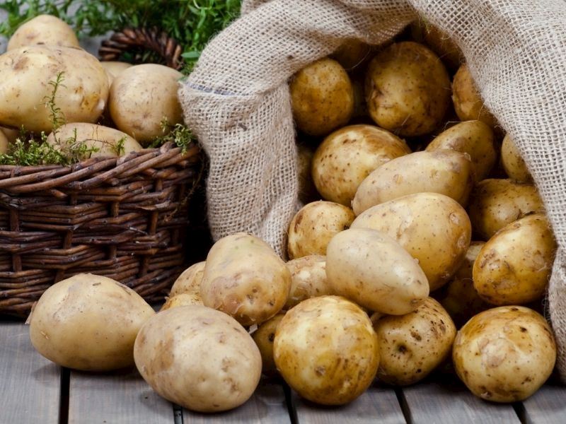 Tomurcuklanmadan Patates Nasıl Saklanır?