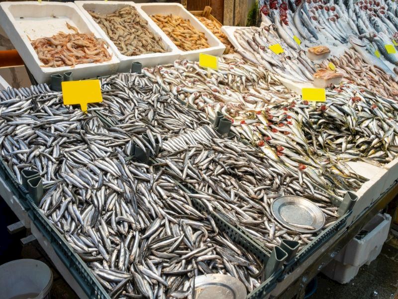 Türkiye'de en sevilen balık hangisi? İşte ankete göre ilk 5