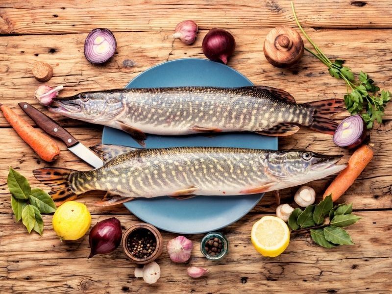Turna Balığı Nasıl Pişirilir: Tavada ve Fırında Pişirme Yöntemi