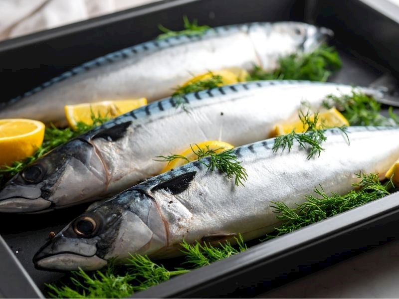 Uskumru Fırında Fanlı Mı Pişer Fansız Mı?