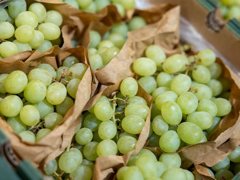Üzüm Nasıl Saklanır?