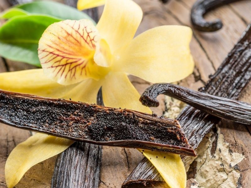 Vanilya Özü Yerine Ne Kullanılır: 6 Alternatif