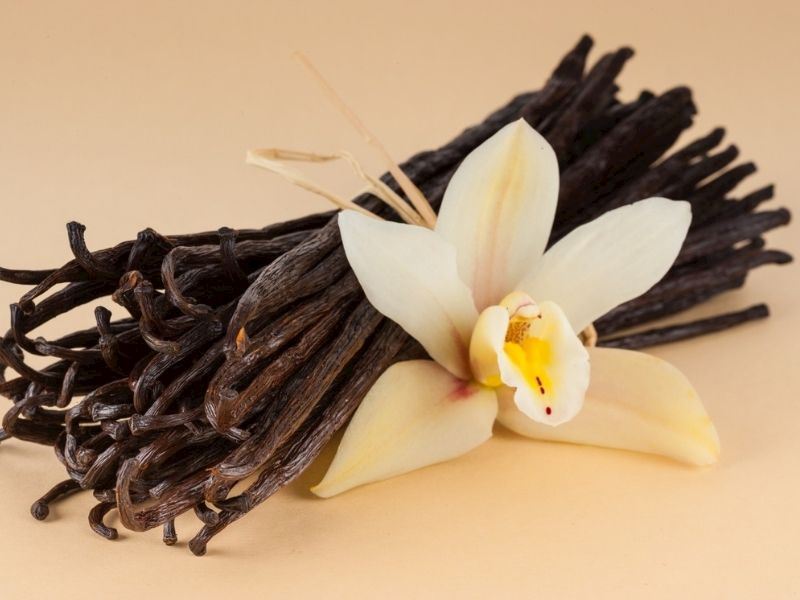 Vanilyanın Faydaları Nelerdir, Nasıl Kullanılır?