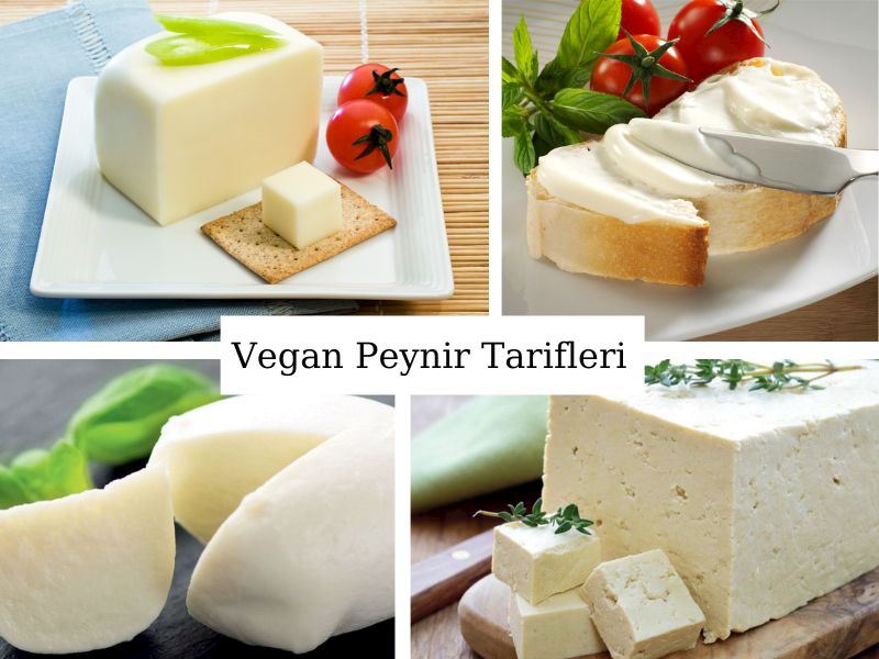 Vegan Peynir Tarifleri: Veganlar İçin 5 Nefis Peynir Tarifi