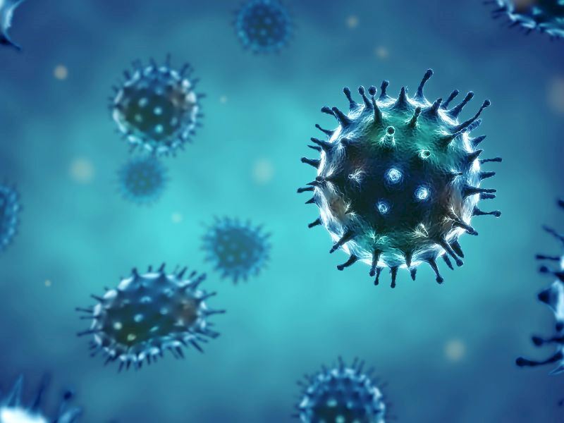 Virüslere Karşı Etkili Olan 11 Antiviral Bitki