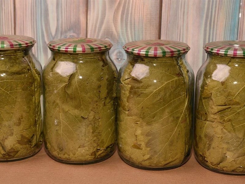 Yaprak Sarmasında Yaprak Sert Olursa Ne Yapmalı?