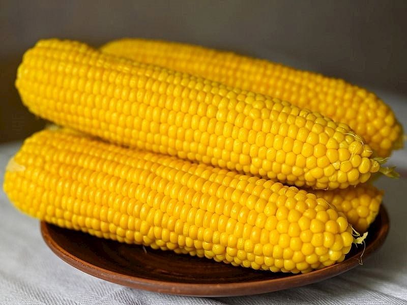Yaz Sofralarına Çok Yakışan 8 Farklı Mısır Tarifi