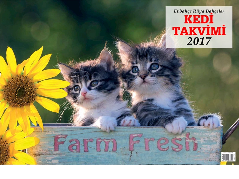 Yeni yılın en güzel hediyesi