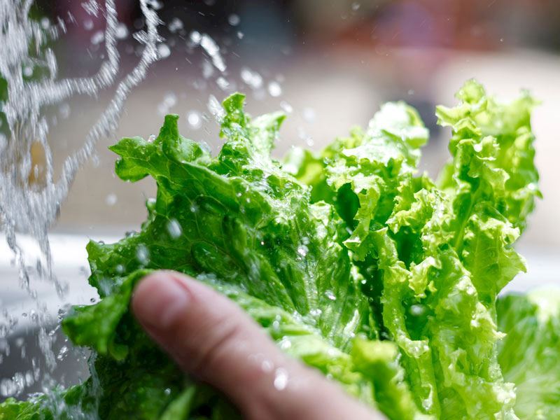 Yeşillikler Nasıl Taze Tutulur?