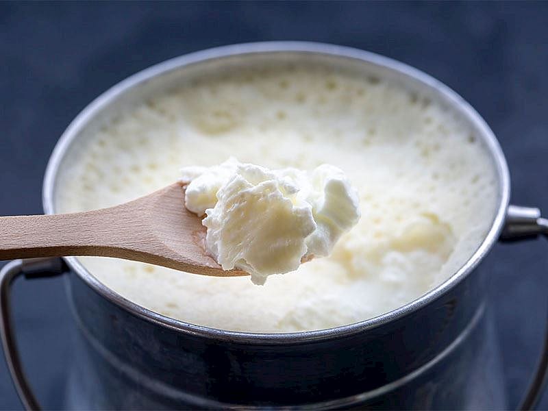 Yoğurt Mayalarken Tutmazsa Ne Yapılır?