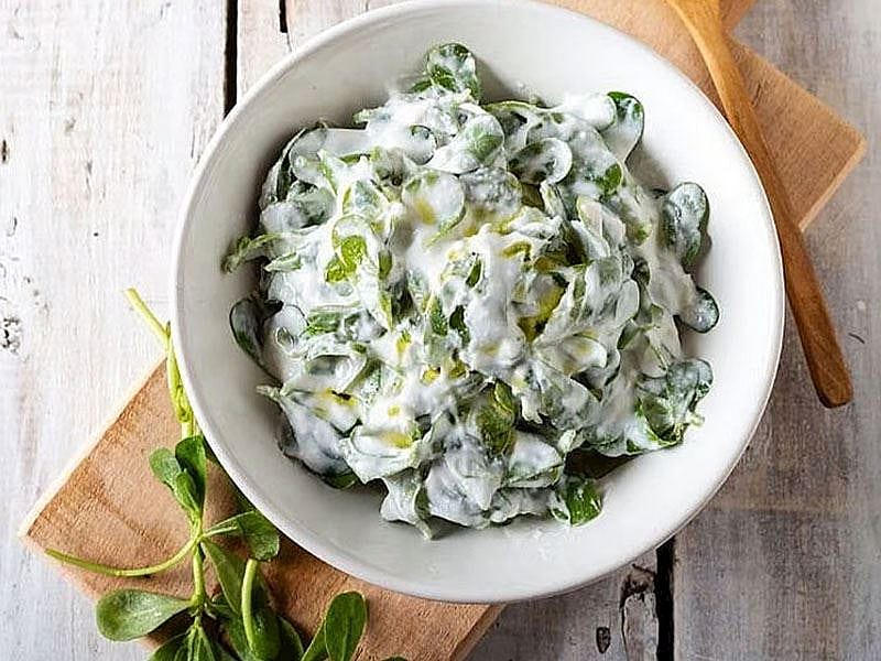 Yoğurtlu Semizotu Salatasının Yanına Ne Gider?
