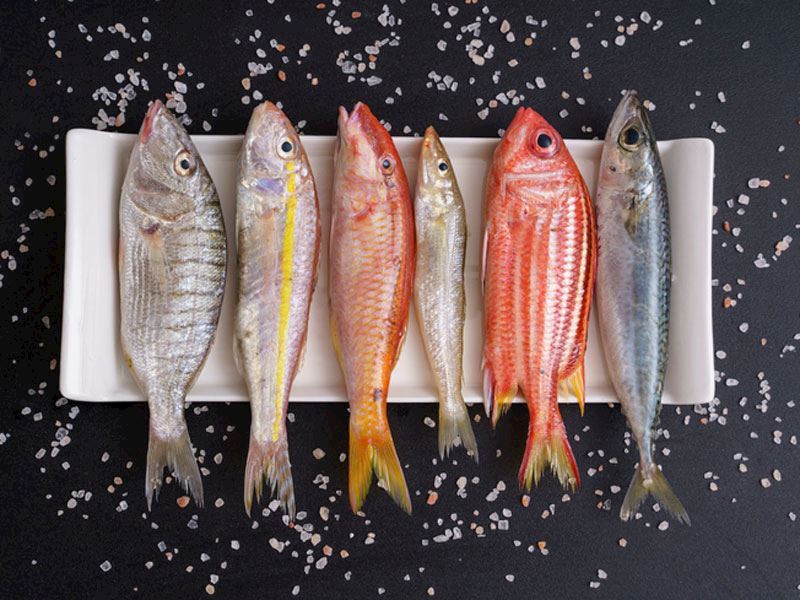 Yüksek Cıva İçeren Balıklar Nelerdir?