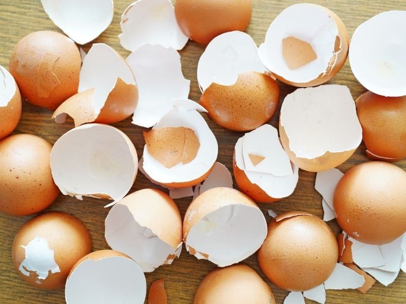 Yumurta Kabuğunun Faydaları Nelerdir, Nasıl Yenir?