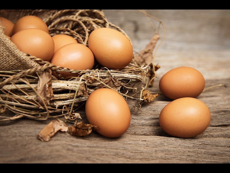 Yumurta Üzerindeki Kodlar: Yumurtanın Kalitesi Nasıl Anlaşılır?