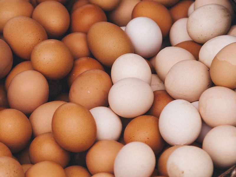 Yumurtaları Dondurmadan Önce Bilmeniz Gereken 10 İpucu