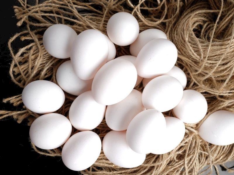 beyaz yumurta