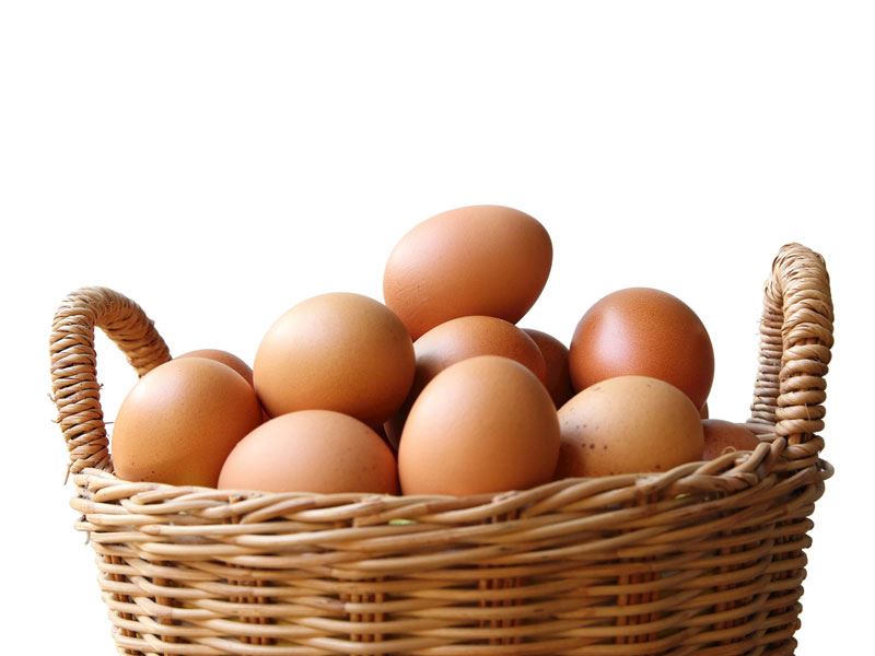Yumurtanın Taze Olduğu Nasıl Anlaşılır?