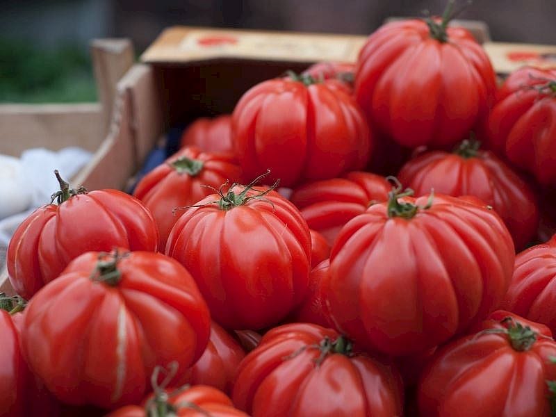 Yumuşayan Domatesleri Değerlendirmenin En Lezzetli Yolları