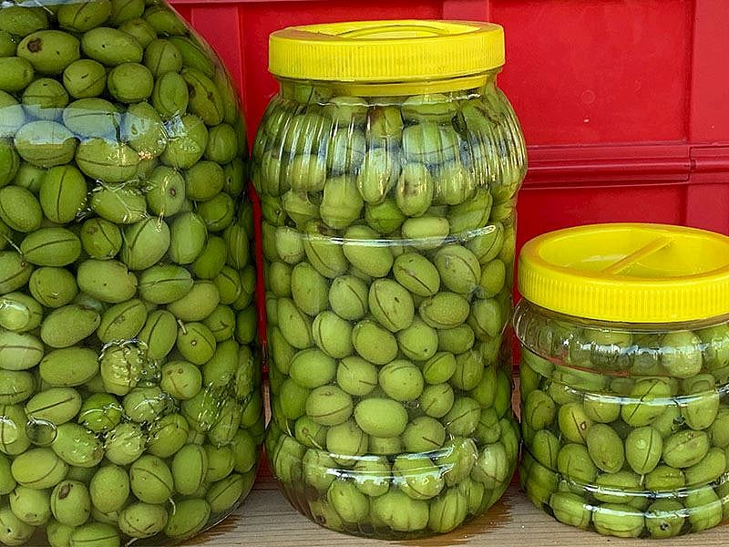 Zeytinin Salamura Suyu Nasıl Hazırlanır?